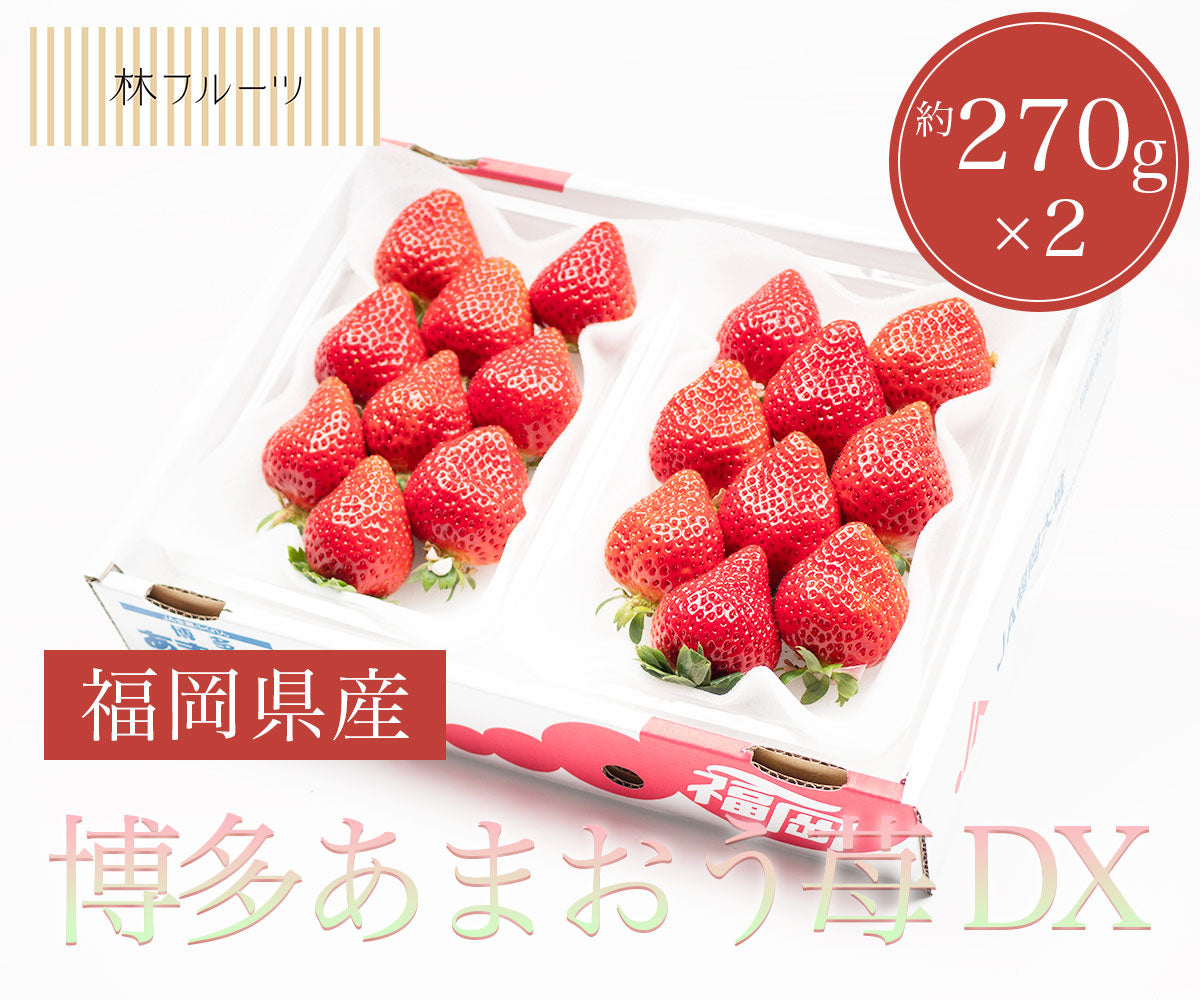 福岡県産 博多あまおう苺 DX 約270g×2 – ハヤシフルーツ