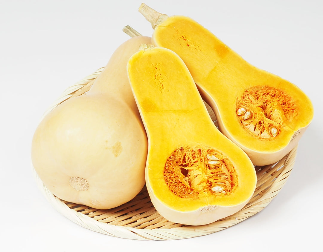 千葉県産 バターナッツかぼちゃ 約1kg×2個