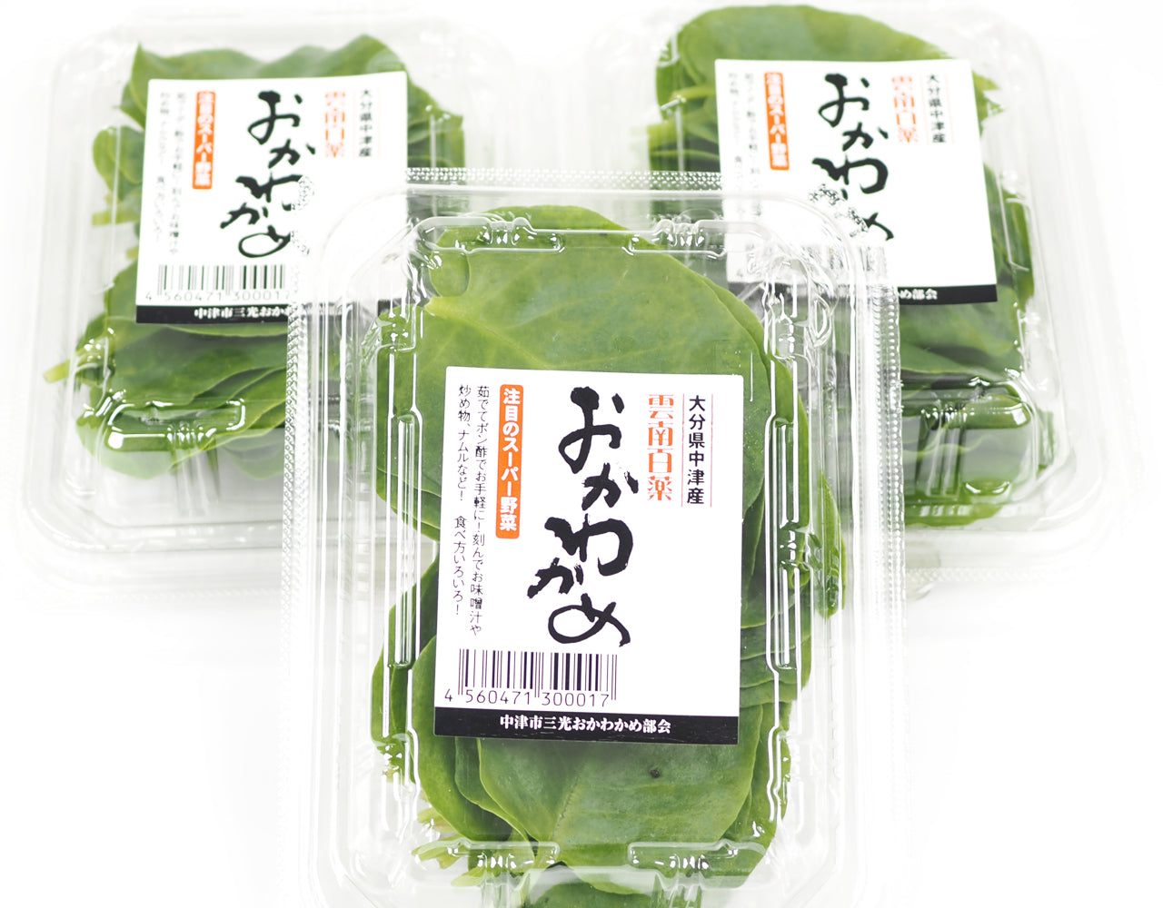 ちなわかめ　オプション 大分県産 おかわかめ 3パック – ハヤシフルーツ