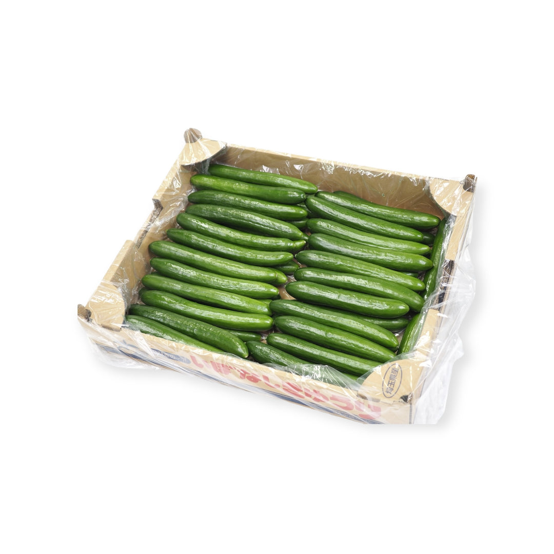 岩手県産他 いぼなし きゅうり フリーダム 1箱 約5kg