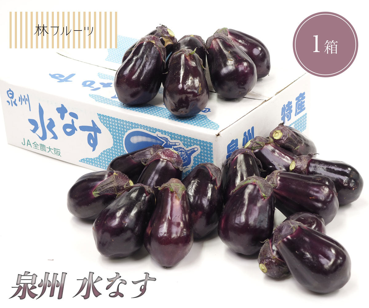 ■泉州特産■水なす■48個(24個×2ケース)■大阪産■ □泉州特産□水なす□48個(24個×2ケース)□大阪産□ - メルカリ