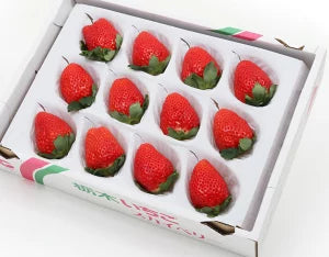 田村さんの大粒いちご 12粒 約580g – ハヤシフルーツ