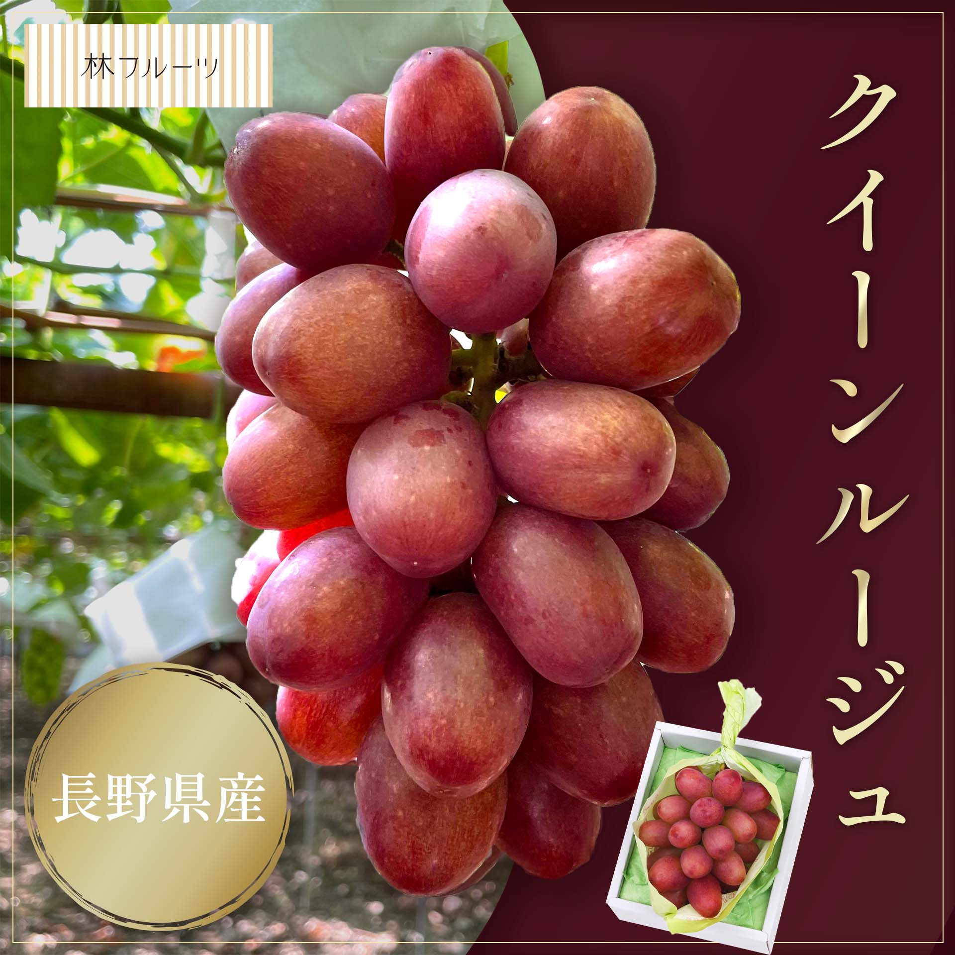 長野県産 クイーンルージュ 1房 (約450g) – ハヤシフルーツ