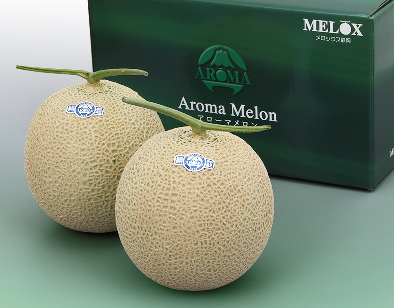 送り状直接箱に貼ります静岡 高級アールスメロン 山5玉 隔離栽培 アローマ マスクメロン