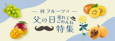 父の日〈遅れてごめんね〉