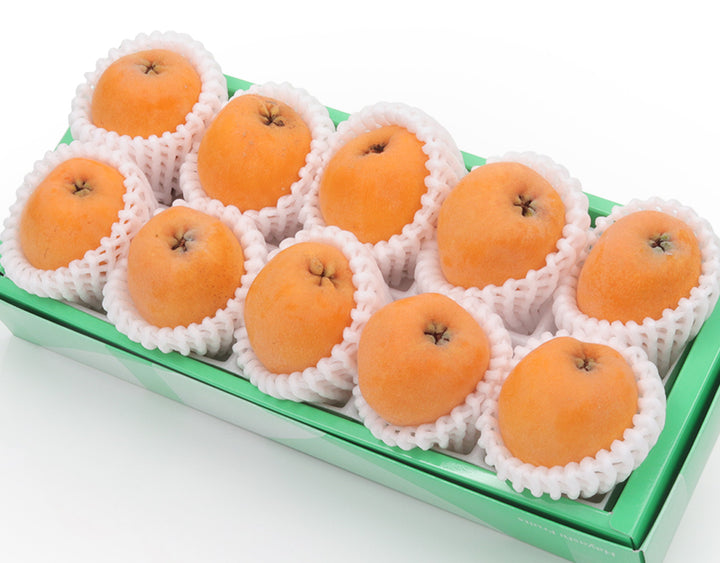 初夏の訪れを告げる逸品。千葉県産他 びわ 10粒