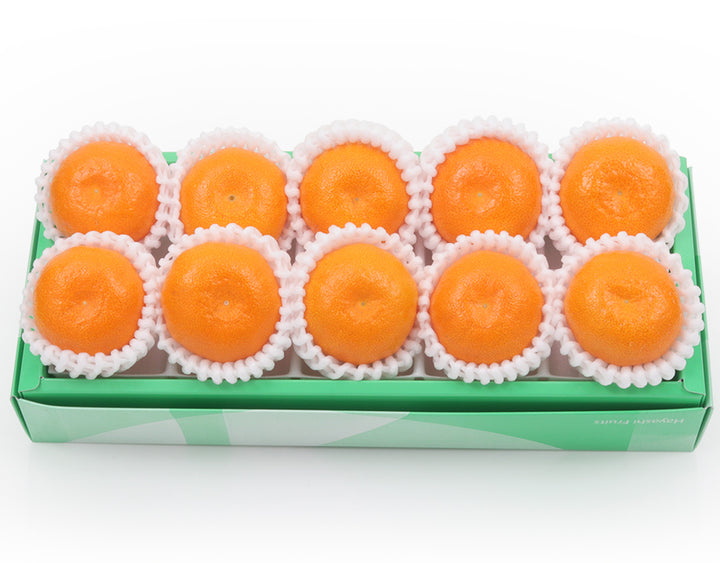 旨みがギュッと凝縮!まるごと美味しい小粒ハウスみかん 10粒