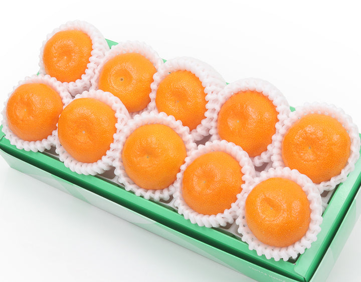 旨みがギュッと凝縮!まるごと美味しい小粒ハウスみかん 10粒