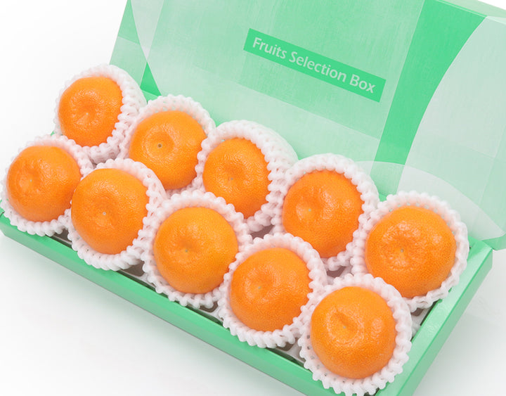 旨みがギュッと凝縮!まるごと美味しい小粒ハウスみかん 10粒