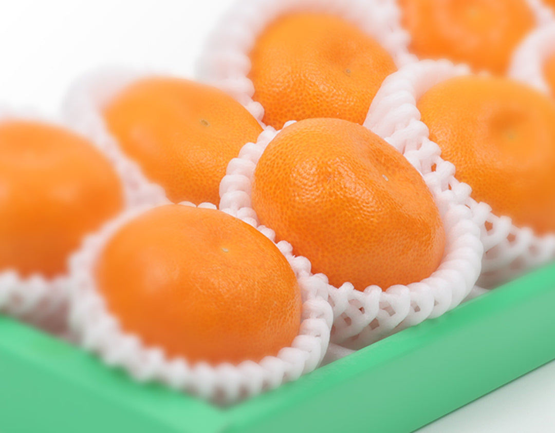 旨みがギュッと凝縮!まるごと美味しい小粒ハウスみかん 10粒