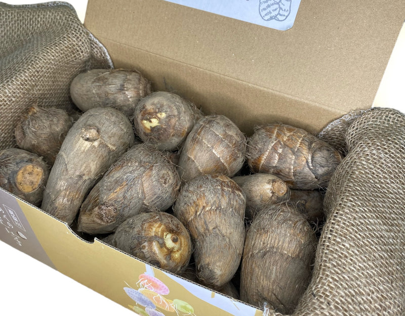 山形県 真室川産 特選 あべの里芋 1箱 (約2kg)