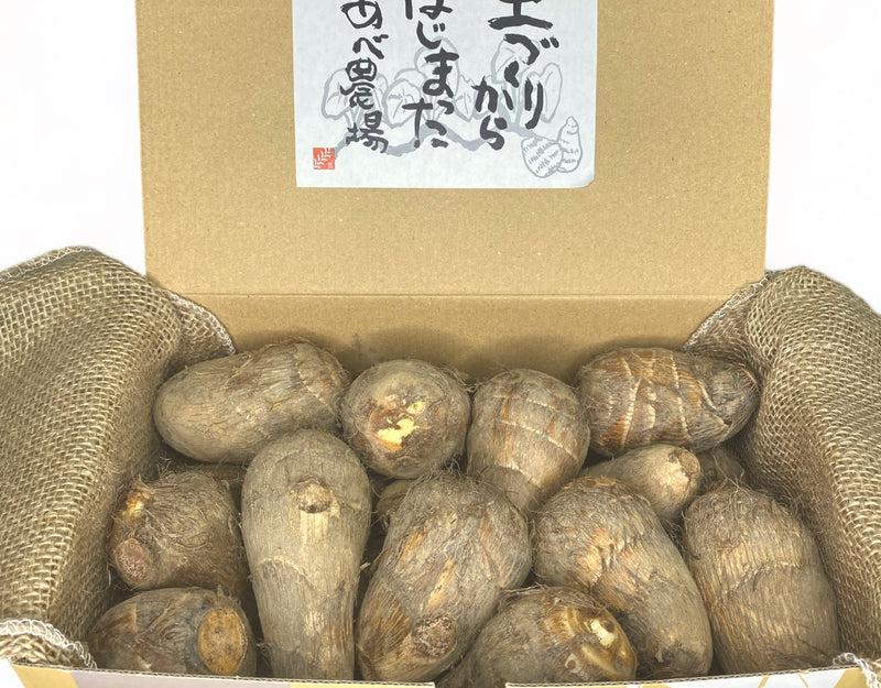 山形県 真室川産 特選 あべの里芋 1箱 (約2kg)