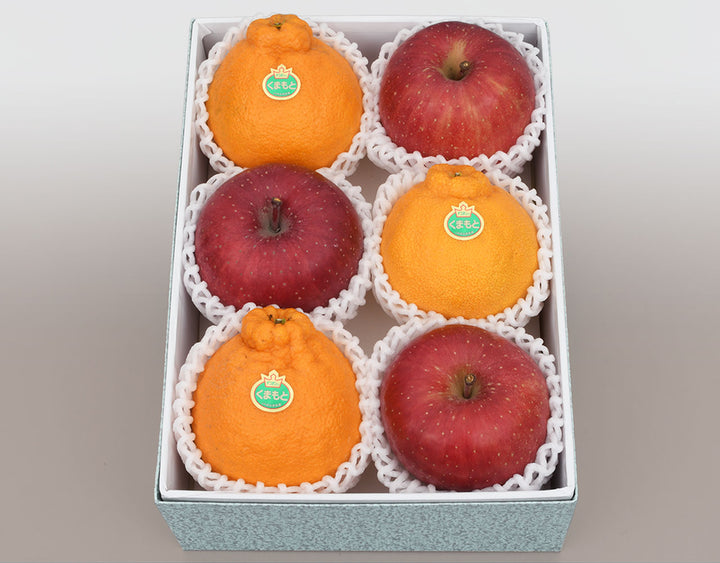 デコポン・サンふじりんご  詰め合わせ