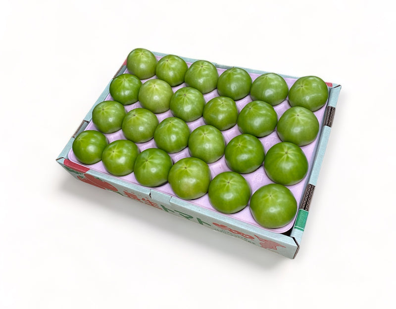 千葉県産 グリーントマト 1箱(24個入り)