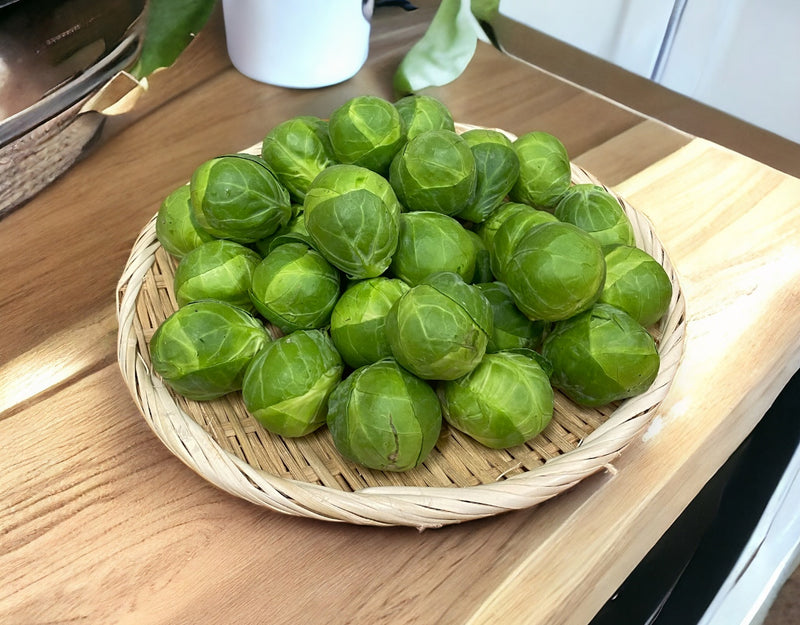 静岡県産 芽キャベツ 1袋 約1kg