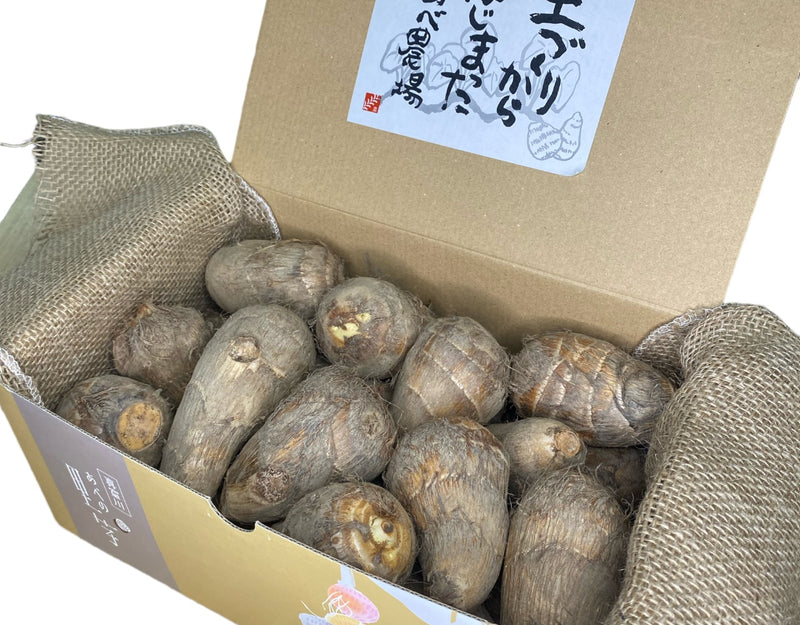 山形県 真室川産 特選 あべの里芋 1箱 (約2kg)