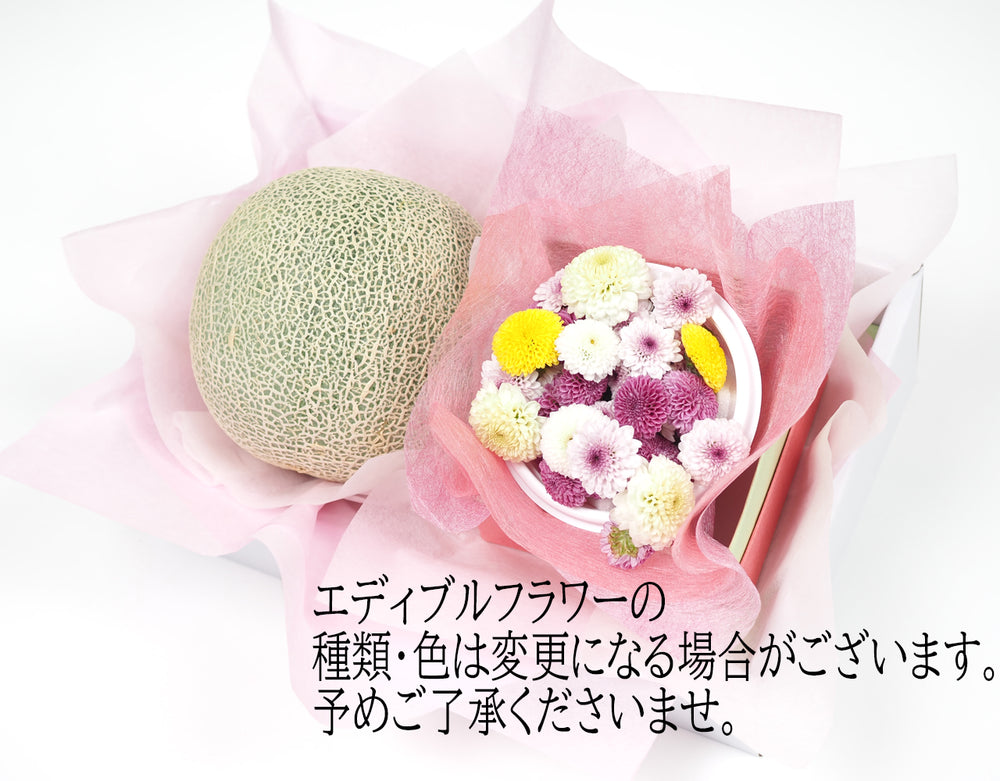 宮崎県産 完熟マンゴー 秀品 3Lｻｲｽﾞ 3玉 – ハヤシフルーツ