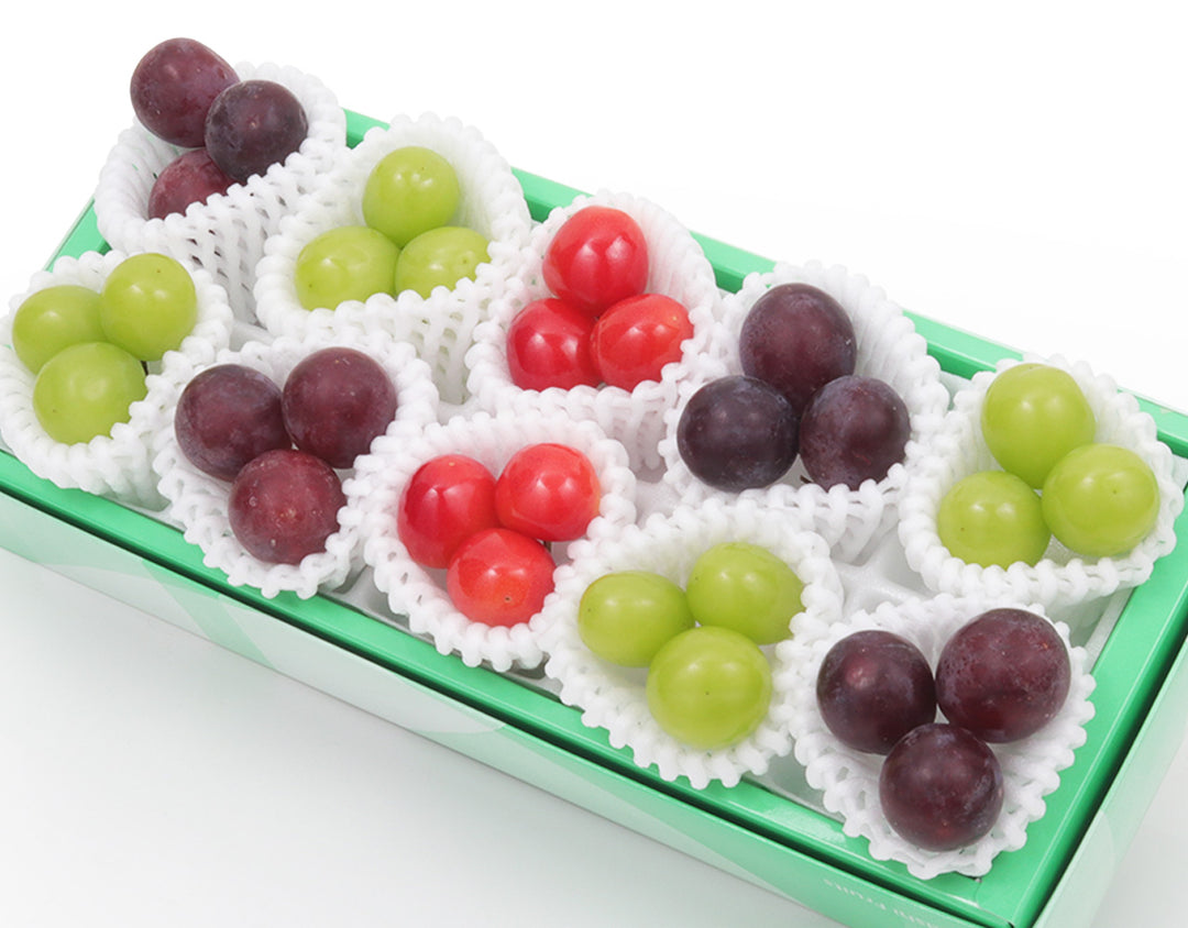 季節の彩りセレクションBOX B