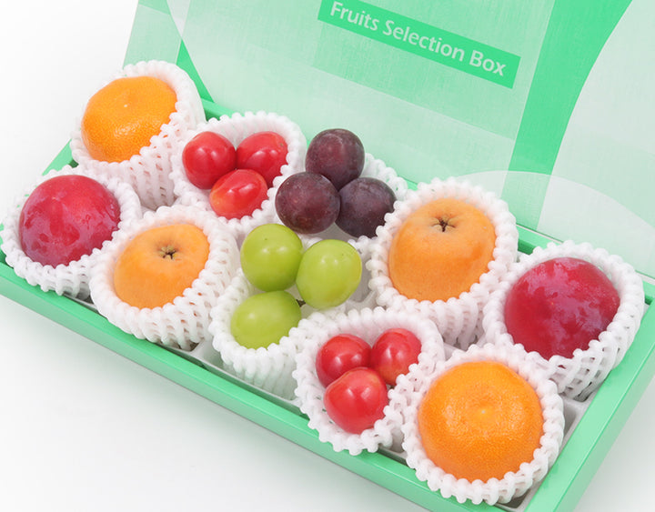 季節の彩りセレクションBOX A