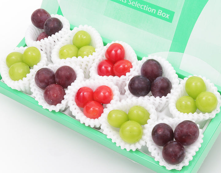 季節の彩りセレクションBOX B
