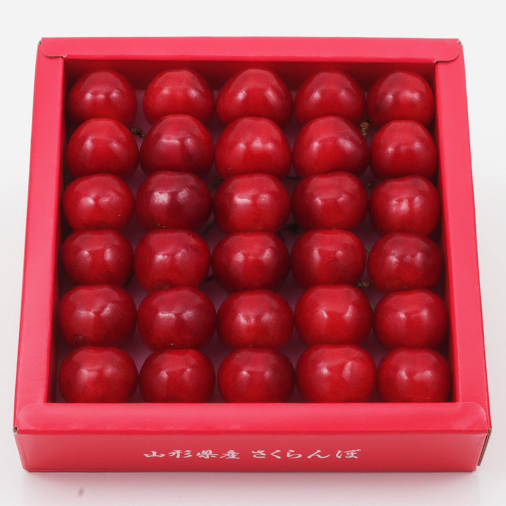 【季節限定】山形県産 さくらんぼ「やまがた紅王」約300g 化粧箱