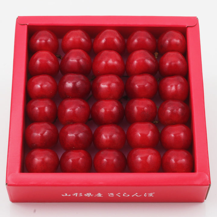 【季節限定】山形県産 さくらんぼ「やまがた紅王」約300g 化粧箱