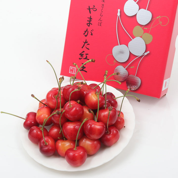【季節限定】山形県産 さくらんぼ「やまがた紅王」約300g 化粧箱
