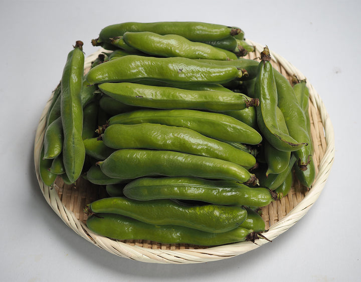 長崎県産他 《一粒》そら豆 約2kg