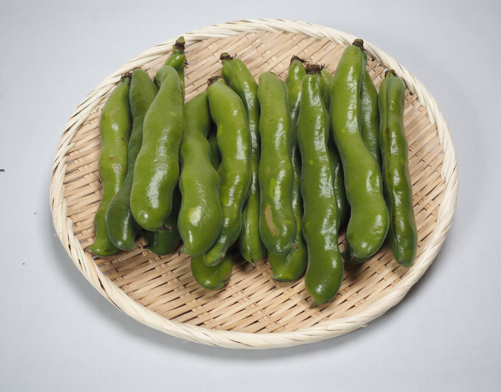 長崎県産他 そら豆 Mサイズ 約1kg