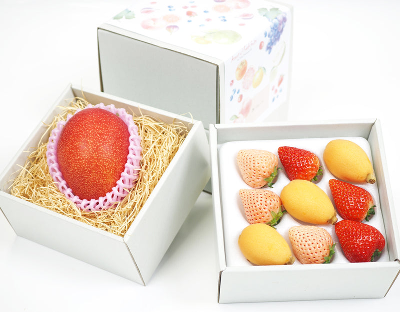 宮崎マンゴー と 紅白いちご と びわ のフルーツ二段重