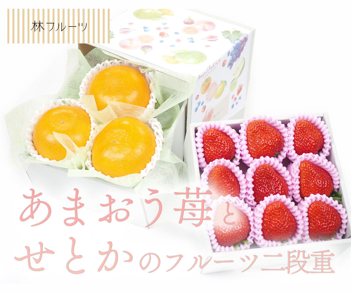 あまおう苺 と せとかのフルーツ二段重 – ハヤシフルーツ