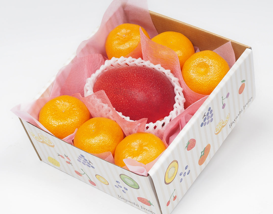 宮崎県産 完熟マンゴー秀品 Lｻｲｽﾞ 1玉 – ハヤシフルーツ