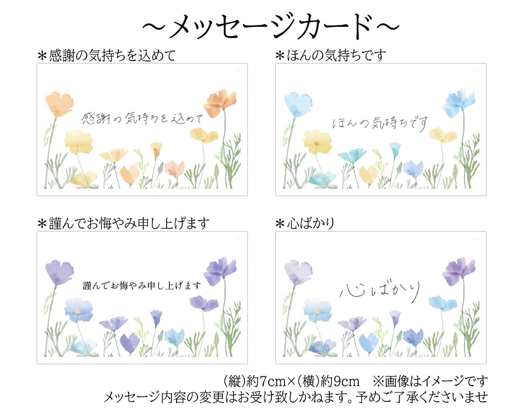 シャインマスカット 山形さくらんぼ 詰め合わせ