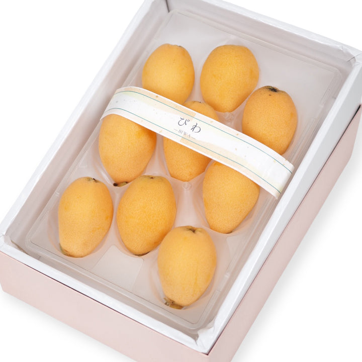 長崎 茂木びわ 秀品 1箱（6玉～9玉） 約280g
