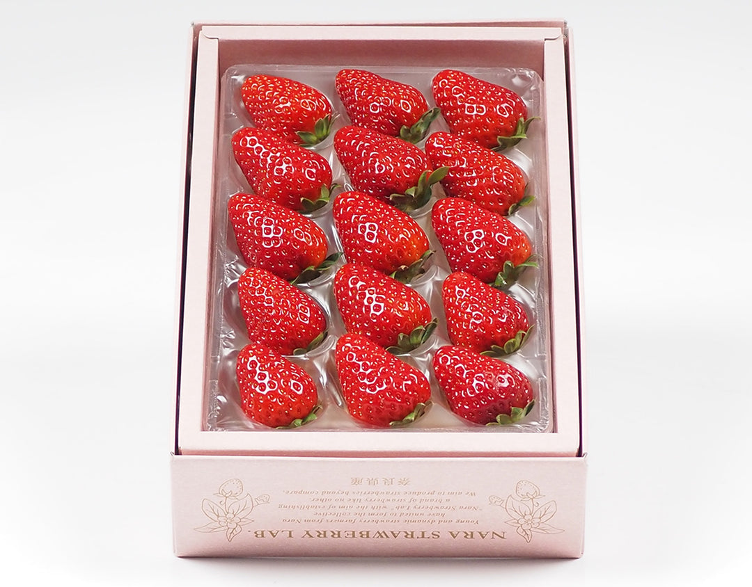 【お歳暮企画】奈良県産 大和奈良いちご倶楽部 古都華 約250g×1