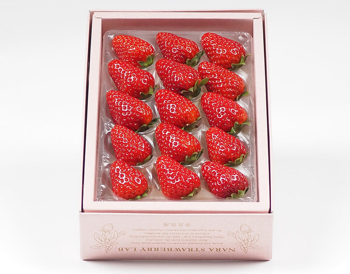 【お歳暮企画】奈良県産 大和奈良いちご倶楽部 古都華 約250g×1