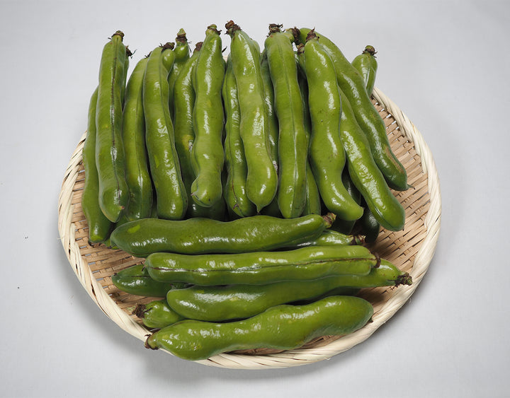 長崎県産他 そら豆 Lサイズ 約2kg