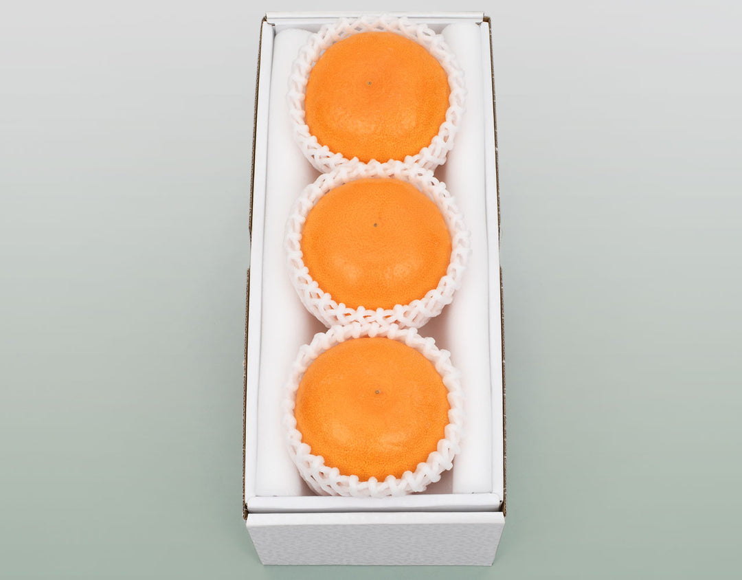 愛媛県産 せとか 秀品 化粧箱 3玉