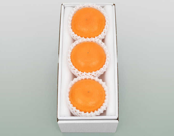 愛媛県産 せとか 秀品 化粧箱 3玉