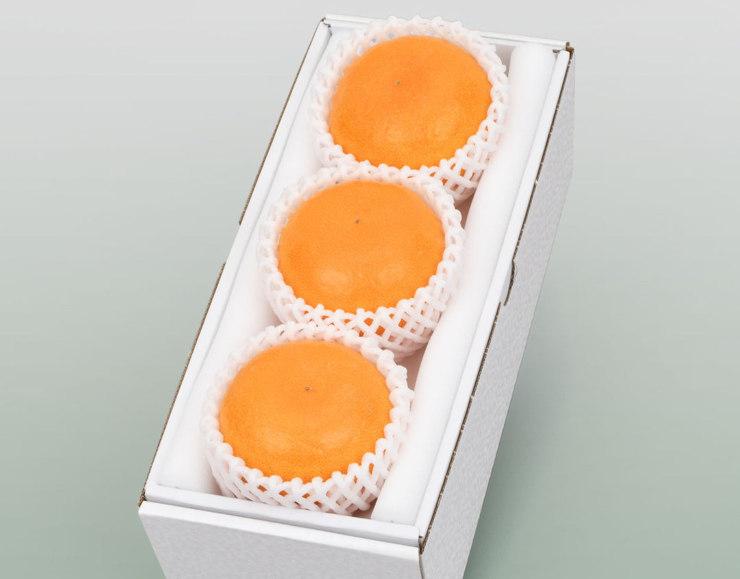 愛媛県産 せとか 秀品 化粧箱 3玉