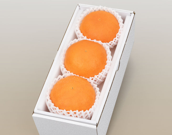 愛媛県産 甘平 秀品 化粧箱 3玉