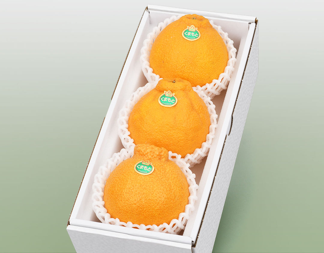 熊本県産 デコポン 化粧箱 3玉