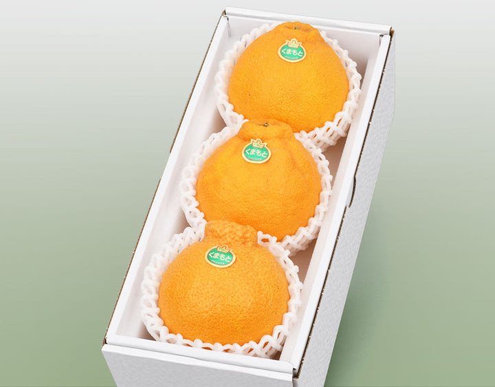 熊本県産 デコポン 化粧箱 3玉