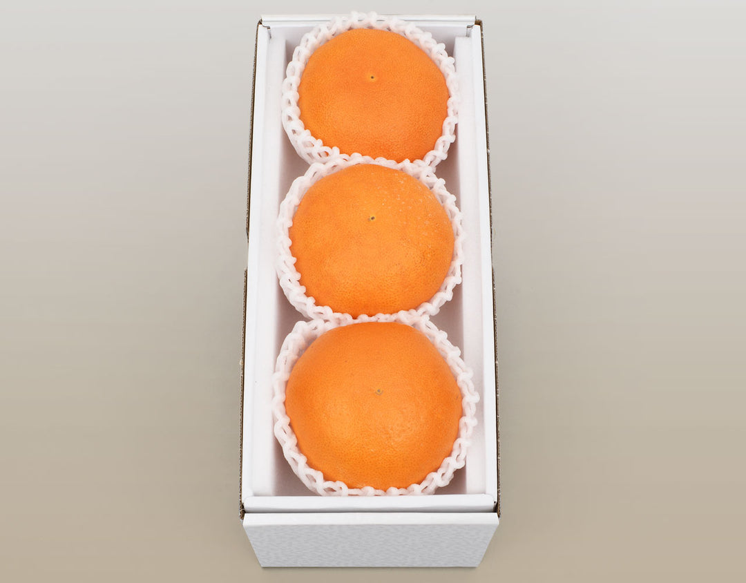 愛媛県産 甘平 秀品 化粧箱 3玉