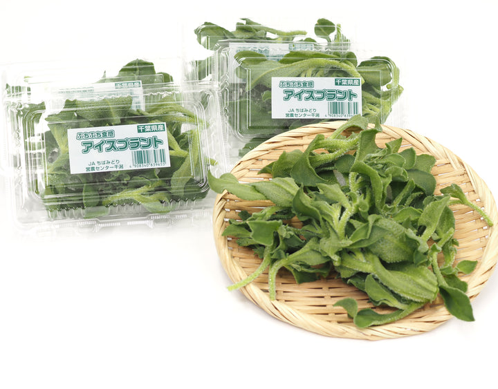千葉県産他 アイスプラント 1箱(30パック入り)