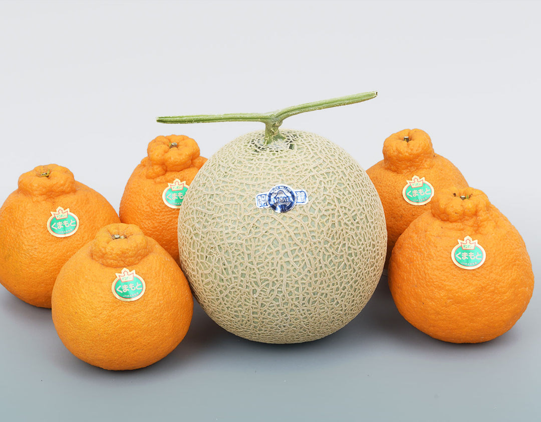 静岡マスクメロン・デコポン 詰め合わせ