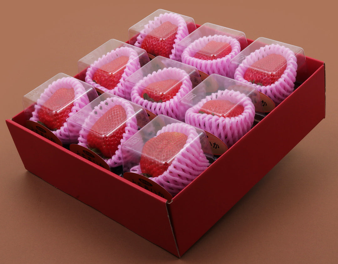 栃木県産 大粒いちご 9粒 約540g