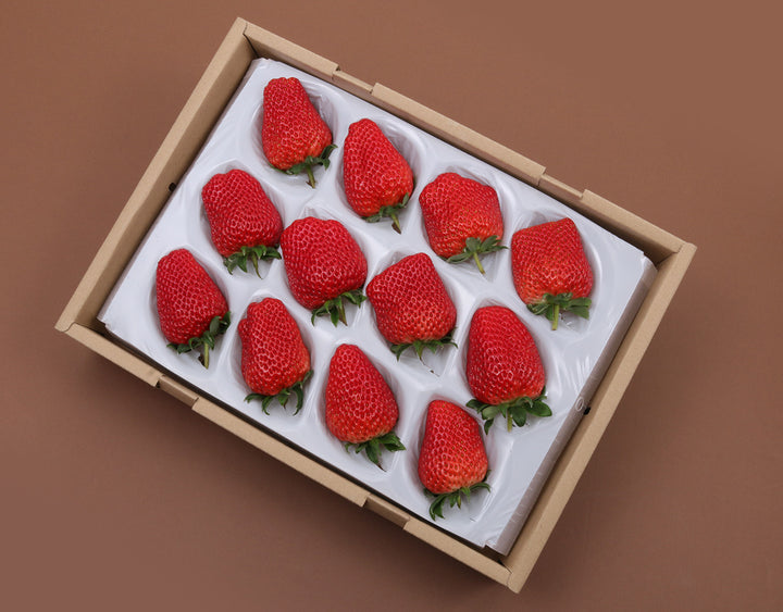 静岡県産 大粒紅ほっぺ苺 （9~12粒） 約600g