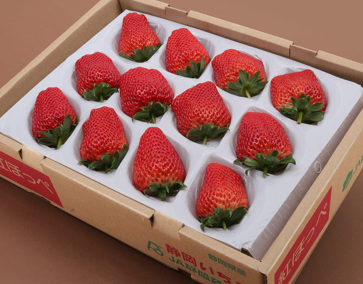 静岡県産 大粒紅ほっぺ苺 （9~12粒） 約600g