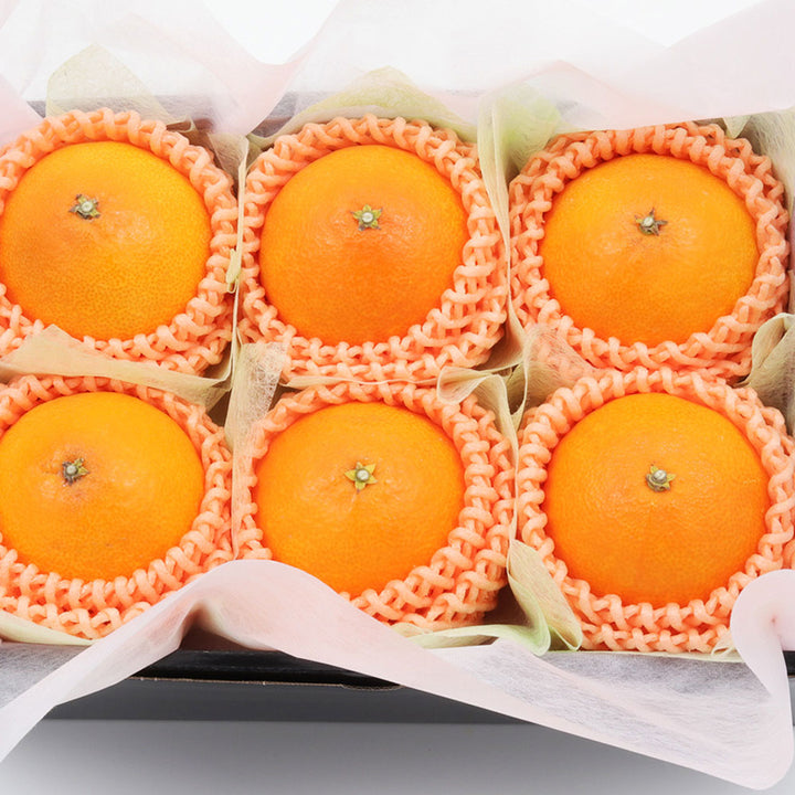 愛媛県産 紅まどんな 秀品 6玉 約1.5kg